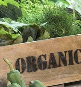 Avoiding GMOs? Choose organic foods