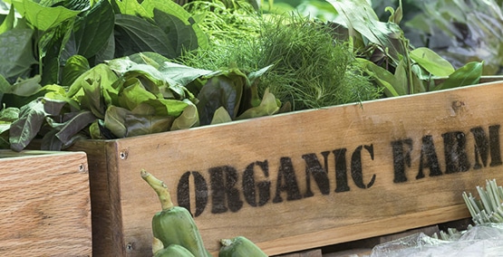 Avoiding GMOs? Choose organic