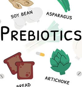 Why use a probiotic or a prebiotic?