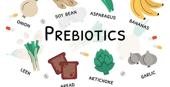 Why use a probiotic or a prebiotic?