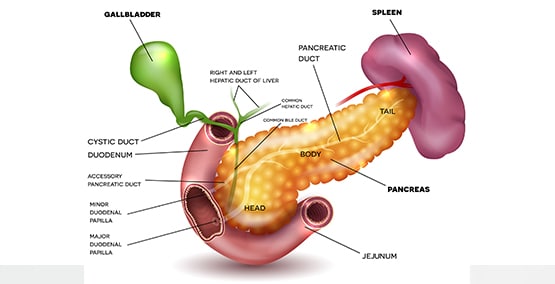 Complications of chronic pancreatitis