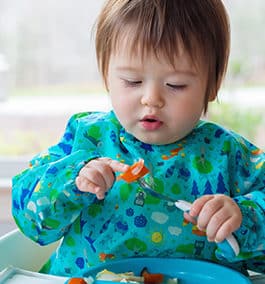 Toddler mealtime tips