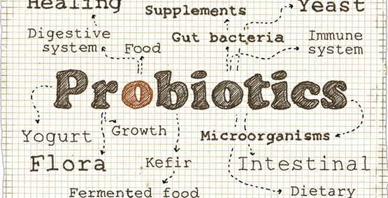 choosing a probiotic