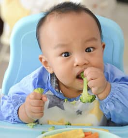 Baby led weaning: Using table foods to teach babies to chew