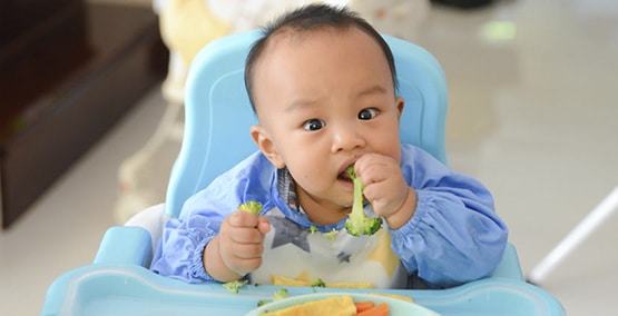 Baby led weaning: Using table foods to teach babies to chew